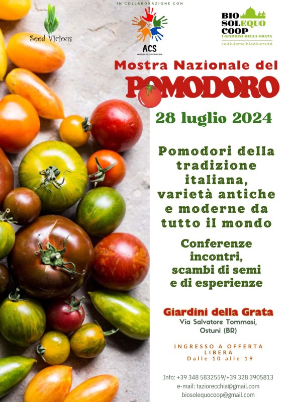Mostra Nazionale del Pomodoro 2024 - Versione Sud @ OSTUNI (BR)