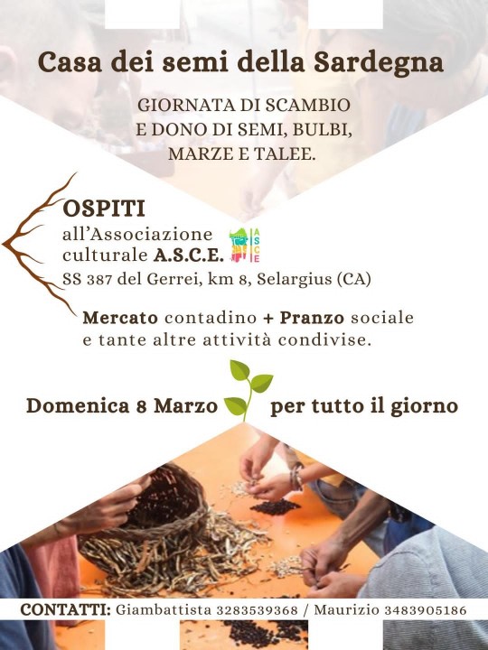 Giornata di Scambio e Dono Semi @ SELARGIUS (CA)