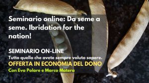Seminario online: Da seme a seme. Ibridation for the nation @ WEB