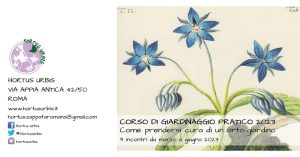 CORSO DI GIARDINAGGIO PRATICO: Come prendersi cura di un orto-giardino - XIII Edizione @ ROMA